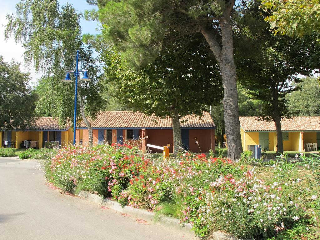 L'Hotel Du Mediterranee Argelès-sur-Mer Exteriör bild