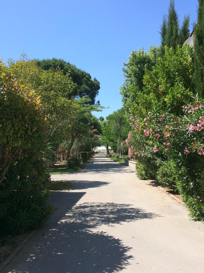 L'Hotel Du Mediterranee Argelès-sur-Mer Exteriör bild